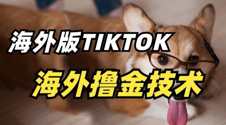 抖音海外版tiktok撸金技术,这个风口行业,赚钱真的不难【揭秘】-星火爱财