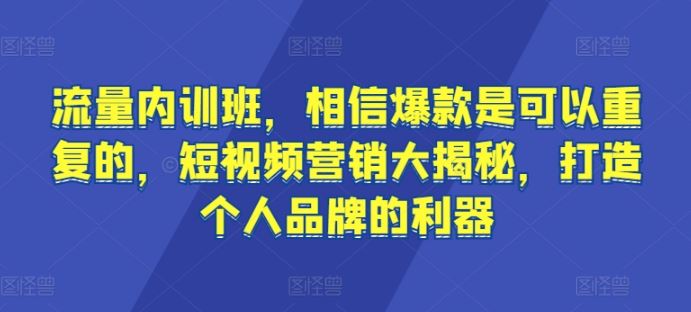 流量内训班,相信爆款是可以重复的,短视频营销大揭秘,打造个人品牌的利器-星火爱财