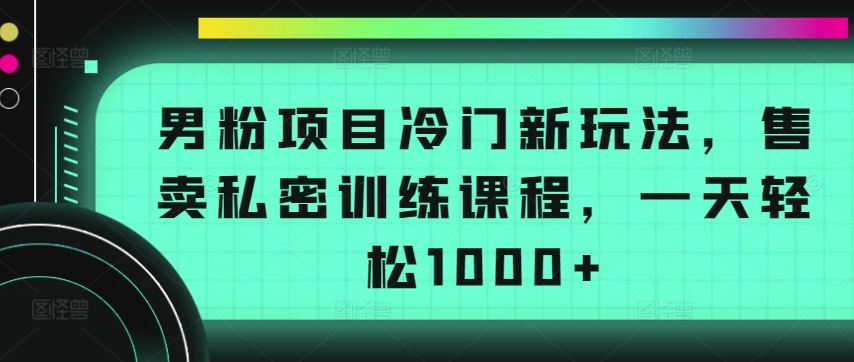 男粉项目冷门新玩法,售卖私密训练课程,一天轻松1000+【揭秘】-星火爱财