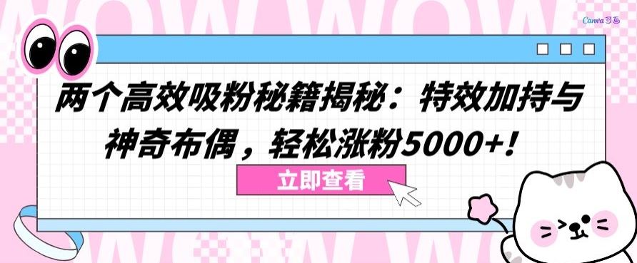 两个高效吸粉秘籍揭秘:特效加持与神奇布偶,轻松涨粉5000+【揭秘】-星火爱财