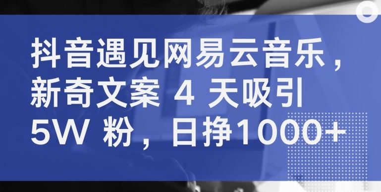 抖音遇见网易云音乐,新奇文案 4 天吸引 5W 粉,日挣1000+【揭秘】-星火爱财