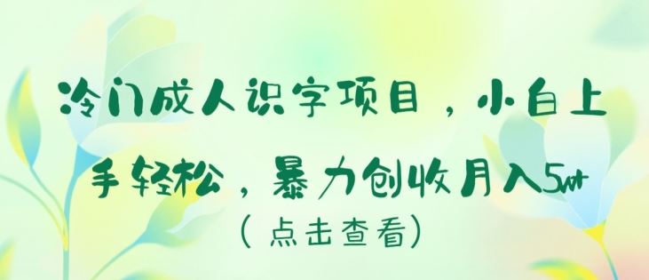 冷门成人识字项目,小白上手轻松,暴力创收月入5w+【揭秘】-星火爱财
