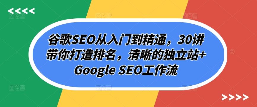 谷歌SEO从入门到精通,30讲带你打造排名,清晰的独立站+Google SEO工作流-星火爱财