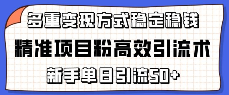 精准项目粉高效引流术,新手单日引流50+,多重变现方式稳定赚钱【揭秘】-星火爱财