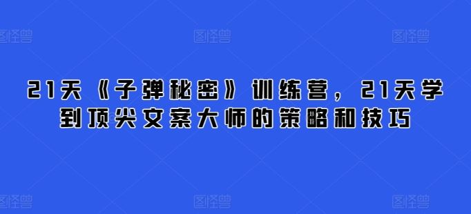 21天《子弹秘密》训练营,21天学到顶尖文案大师的策略和技巧-星火爱财