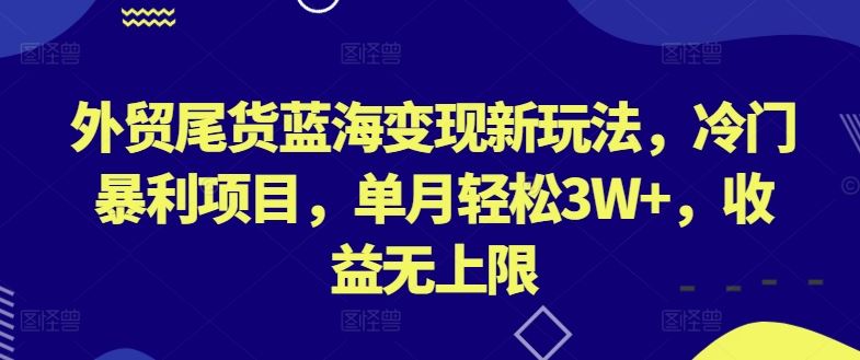 外贸尾货蓝海变现新玩法,冷门暴利项目,单月轻松3W+,收益无上限【揭秘】-星火爱财
