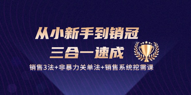 从小新手到销冠三合一速成:销售3法+非暴力关单法+销售系统挖需课 (27节)-星火爱财