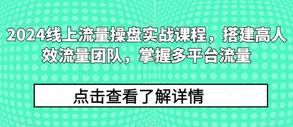 2024线上流量操盘实战课程,搭建高人效流量团队,掌握多平台流量-星火爱财