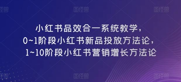 小红书品效合一系统教学,0~1阶段小红书新品投放方法论,1~10阶段小红书营销增长方法论-星火爱财