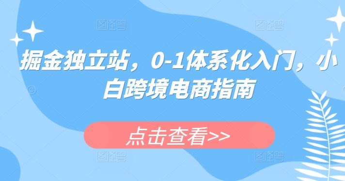 掘金独立站,0-1体系化入门,小白跨境电商指南-星火爱财