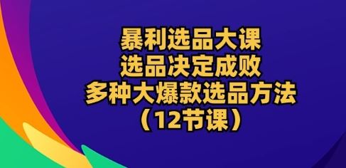 暴利选品大课:选品决定成败,教你多种大爆款选品方法(12节课)-星火爱财