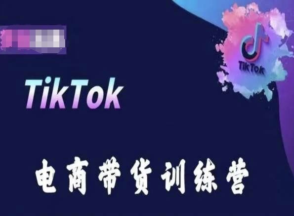 TikTok电商带货训练营,跟随时代潮流,跨境掘金-星火爱财