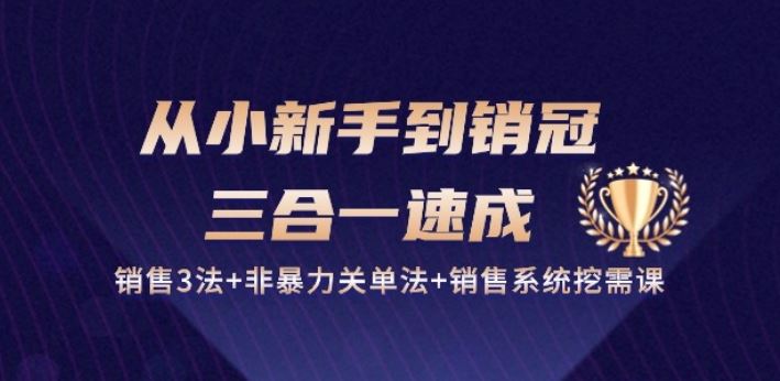 从小新手到销冠 三合一速成:销售3法+非暴力关单法+销售系统挖需课 (27节)-星火爱财
