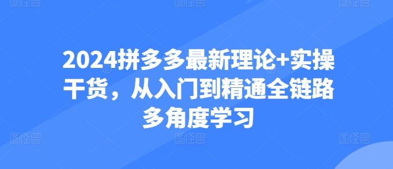 2024拼多多最新理论+实操干货,从入门到精通全链路多角度学习-星火爱财