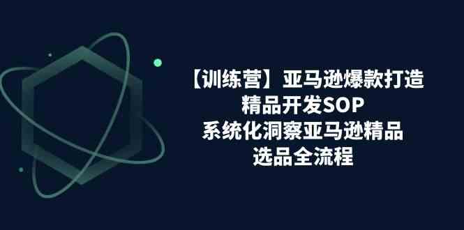 亚马逊爆款打造之精品开发SOP【训练营】,系统化洞察亚马逊精品选品全流程-星火爱财