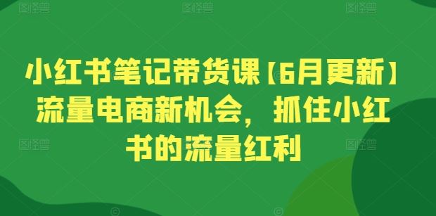 小红书笔记带货课【6月更新】流量电商新机会,抓住小红书的流量红利-星火爱财