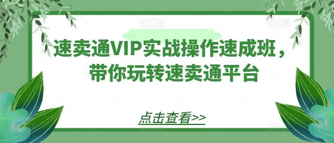 速卖通VIP实战操作速成班,带你玩转速卖通平台-星火爱财