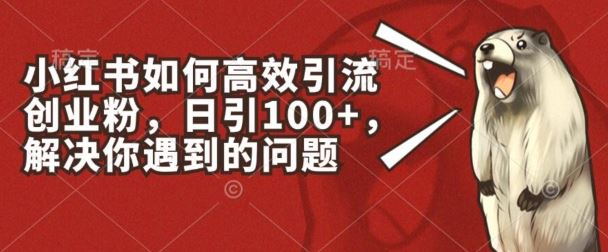 小红书如何高效引流创业粉,日引100+,解决你遇到的问题【揭秘】-星火爱财