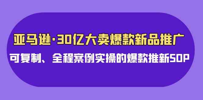 (9944期)亚马逊30亿·大卖爆款新品推广,可复制、全程案例实操的爆款推新SOP-星火爱财