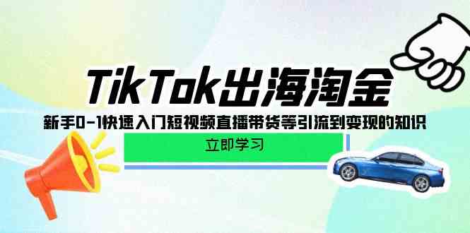 (10035期)TikTok-出海淘金,新手0-1快速入门短视频直播带货等引流到变现的知识-星火爱财