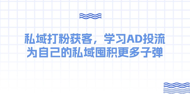 (10728期)某收费课:私域打粉获客,学习AD投流,为自己的私域囤积更多子弹-星火爱财