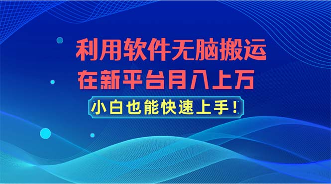 (11078期)利用软件无脑搬运,在新平台月入上万,小白也能快速上手-星火爱财