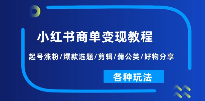 (11164期)小红书商单变现教程:起号涨粉/爆款选题/剪辑/蒲公英/好物分享/各种玩法-星火爱财