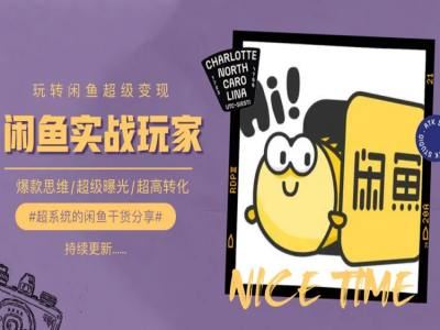 手把手教你0到1系统玩转闲鱼变现,爆款思维/超级曝光/超高转化-星火爱财