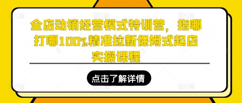 全店动销经营模式特训营,指哪打哪100%精准拉新保姆式起店实操课程-星火爱财
