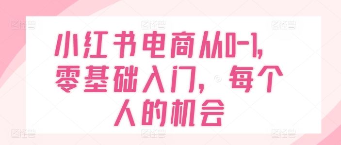 小红书电商从0-1,零基础入门,每个人的机会