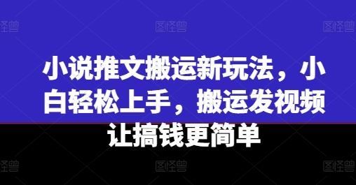 小说推文搬运新玩法,小白轻松上手,搬运发视频让搞钱更简单-星火爱财