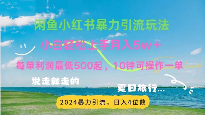 (11650期)2024暑假赚钱项目小红书咸鱼暴力引流,简单无脑操作,每单利润500+,…-星火爱财