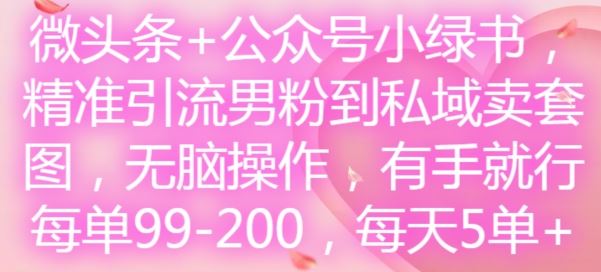 微头条+公众号小绿书,精准引流男粉到私域卖套图,无脑操作,有手就行,每单99-200,每天5单-星火爱财