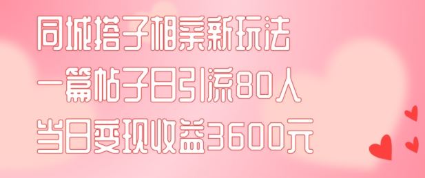 同城搭子相亲新玩法一篇帖子引流80人当日变现3600元(项目教程+实操教程)【揭秘】-星火爱财