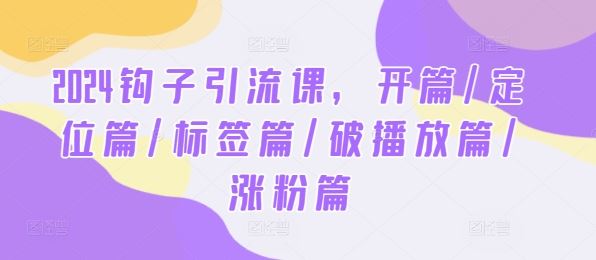 2024钩子引流课,开篇/定位篇/标签篇/破播放篇/涨粉篇-星火爱财