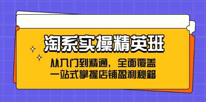 淘系实操精英班:从入门到精通,全面覆盖,一站式掌握店铺盈利秘籍-星火爱财