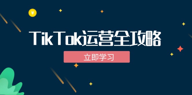 (12739期)TikTok实战运营全攻略:从下载软件到变现,抖音海外版实操教程-星火爱财