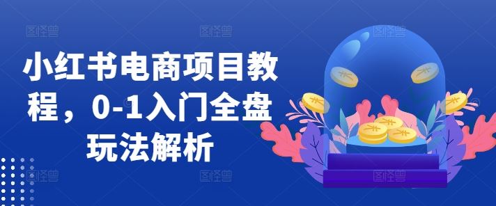 小红书电商项目教程,0-1入门全盘玩法解析