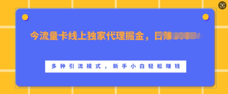 流量卡线上独家代理掘金,日入1k+ ,多种引流模式,新手小白轻松上手【揭秘】-星火爱财