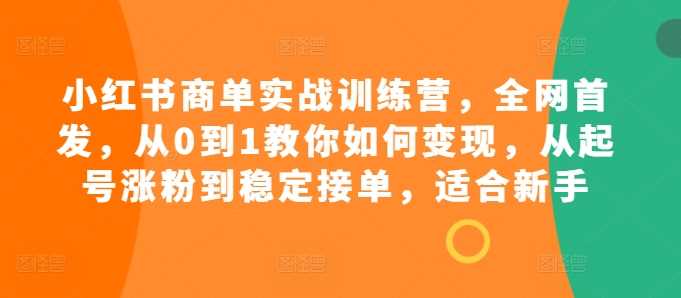 小红书商单实战训练营,全网首发,从0到1教你如何变现,从起号涨粉到稳定接单,适合新手-星火爱财
