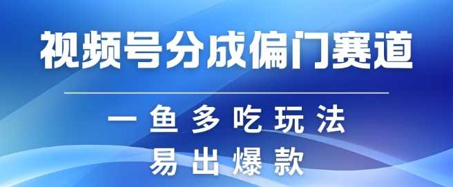 视频号创作者分成计划偏门类目,容易爆流,实拍内容简单易做【揭秘】-星火爱财