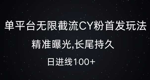 单平台无限截流创业粉首发玩法,精准曝光,长尾持久,日引流100+【揭秘】-星火爱财