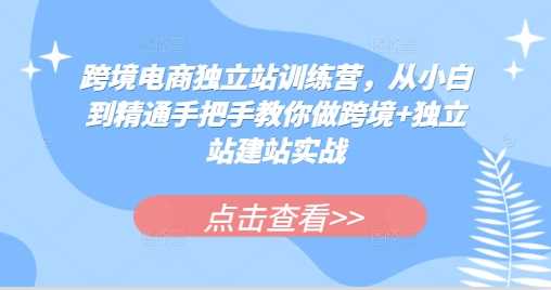 跨境电商独立站训练营,从小白到精通手把手教你做跨境+独立站建站实战-星火爱财