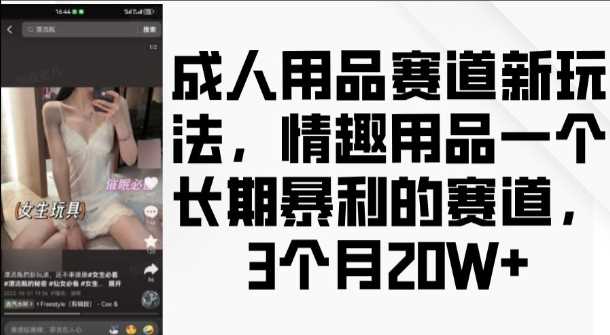 成人用品赛道新玩法,情趣用品一个长期暴利的赛道,3个月收益20个【揭秘】-星火爱财