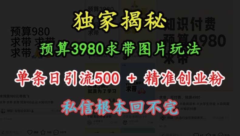 预算3980求带 图片玩法,单条日引流500+精准创业粉,私信根本回不完-星火爱财