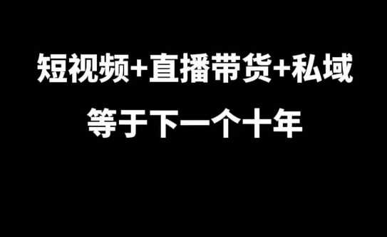 短视频+直播带货+私域等于下一个十年,大佬7年实战经验总结-星火爱财