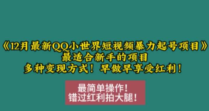 12月最新QQ小世界短视频暴力起号项目,最适合新手的项目,多种变现方式-星火爱财