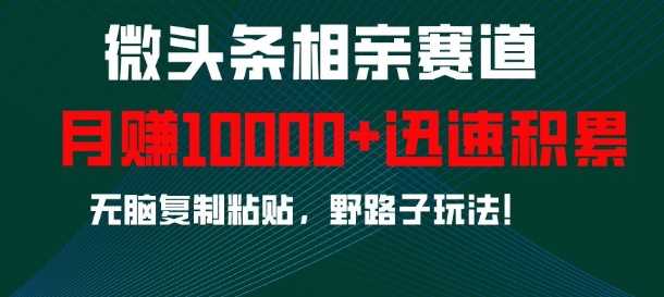 微头条相亲赛道,迅速积累,无脑复制粘贴,野路子玩法,月入1w-星火爱财