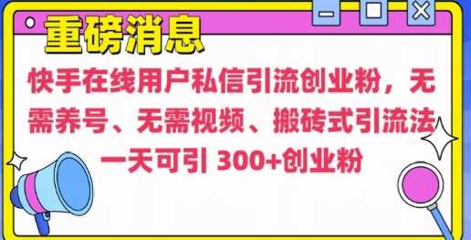 快手最新引流创业粉方法,无需养号、无需视频、搬砖式引流法【揭秘】-星火爱财