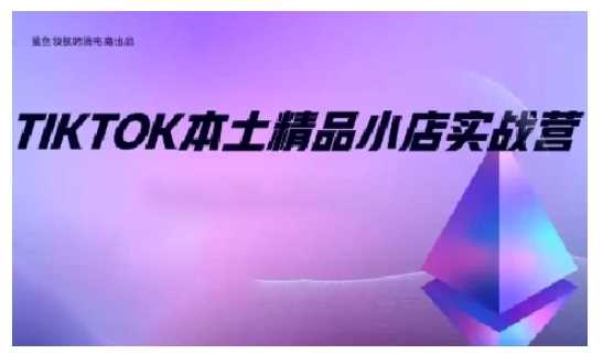 TikTok本土精品小店出海实战营,从入门到高阶,不止0-1!-星火爱财